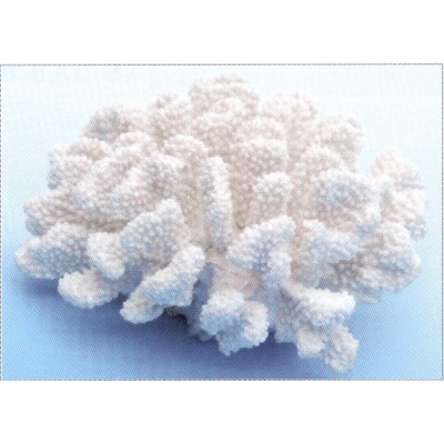 Коралл пластиковый белый, 20*19*9.5 см (SH9009XLW) Коралл пластиковый белый, 20*19*9.5 см (SH9009XLW)