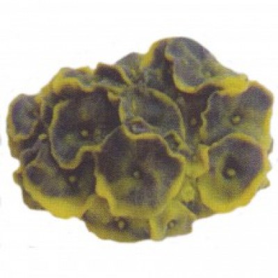 Коралл пластиковый жёлто-зелёный, 14*12*7см (SH011GY) Коралл пластиковый жёлто-зелёный, 14*12*7см (SH011GY)