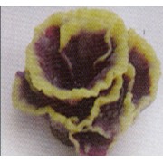 Коралл пластиковый жёлто-зелёный, 14*12*7 см (SH015DPU)