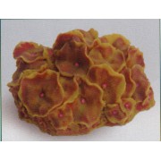 Коралл пластиковый жёлто-красный, 14*12*7 см (SH011RY)