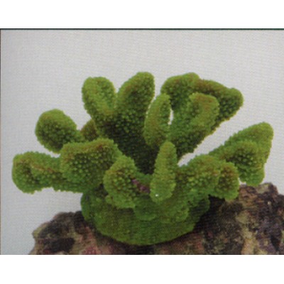 Коралл пластиковый зелёный, 19*13*10.5 см (SH9027G) Коралл пластиковый зелёный, 19*13*10.5 см (SH9027G)