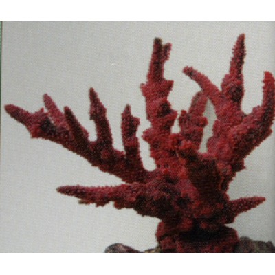 Коралл пластиковый красный, 20*16*16 см (SH035R) Коралл пластиковый красный, 20*16*16 см (SH035R)