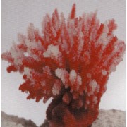 Коралл пластиковый розовый, 10.5*8.5*8 см (SH122PI)