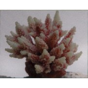 Коралл пластиковый розовый, 11.5*10*9 см (SH095PI)