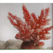 Коралл пластиковый розовый, 12.6*10.7см (SH059PI)