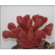 Коралл пластиковый розовый, 19*13*10.5 см (SH9027PI)