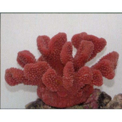 Коралл пластиковый розовый, 19*13*10.5 см (SH9027PI) Коралл пластиковый розовый, 19*13*10.5 см (SH9027PI)