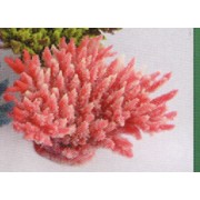 Коралл пластиковый розовый, 21*18*8.5 см (SH080PI)