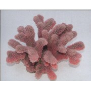 Коралл пластиковый розовый, 24*21*13.5 см (SH9026PI)
