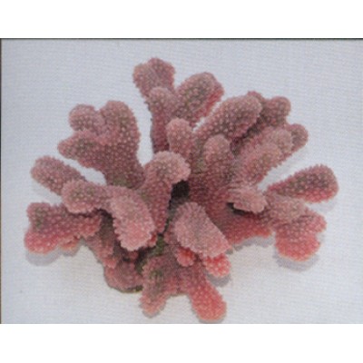 Коралл пластиковый розовый, 24*21*13.5 см (SH9026PI) Коралл пластиковый розовый, 24*21*13.5 см (SH9026PI)