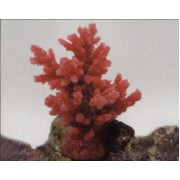 Коралл пластиковый розовый, 8*7*10 см (SH9032PI)