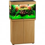 Биодизайн "Риф 110" Бук, 104 л, 71*36*52 см (аквариум)