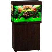 Биодизайн "Риф 110" Венге, 104 л, 71*36*52 см (аквариум)
