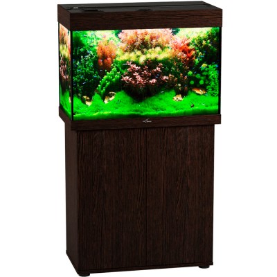 Биодизайн "Риф 110" Венге, 104 л, 71*36*52 см (аквариум) Биодизайн "Риф 110" Венге, 104 л, 71*36*52 см (аквариум)