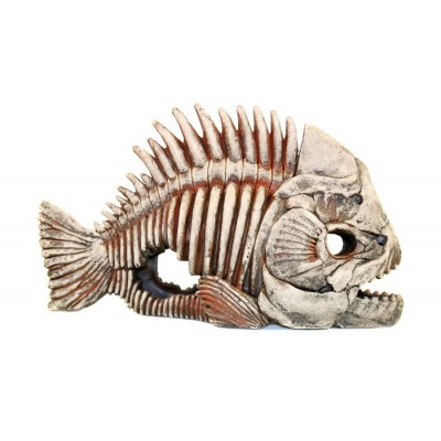 Deksi "Скелет рыбы № 903" 31*13*17 см Deksi "Скелет рыбы № 903" 31*13*17 см