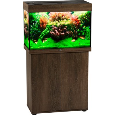 Биодизайн "Риф 110" Золотой Орех, 104 л, 71*36*52 см (аквариум) Биодизайн "Риф 110" Золотой Орех, 104 л, 71*36*52 см (аквариум)