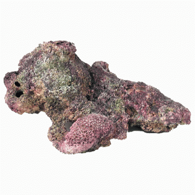 Нилпа "Малахитовый зелёный" 100 мл на 1 тонну (кондиционер от грибков и одноклеточных экзопаразитов) Нилпа "Малахитовый зелёный" 100 мл на 1 тонну (кондиционер от грибков и одноклеточных экзопаразитов)