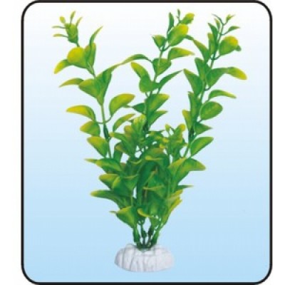 Дерево Бонсай (5860 р.) Дерево Бонсай (5860 р.)