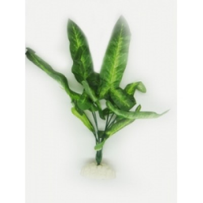 Домик-раковина (792 р.) Домик-раковина (792 р.)