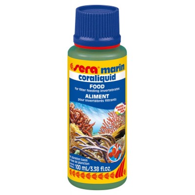 Лагуна "Бакопа Зелёная" 10 см Лагуна "Бакопа Зелёная" 10 см