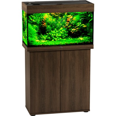 Биодизайн "Риф 80" Золотой Орех, 82 л, 71*33*46 см (аквариум) Биодизайн "Риф 80" Золотой Орех, 82 л, 71*33*46 см (аквариум)