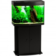 Биодизайн "Панорама 100" Чёрный, 98л, 71*36*52 см (аквариум)
