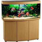 Биодизайн "Панорама 250" Бук, 252 л, 126*46*60 см (аквариум)