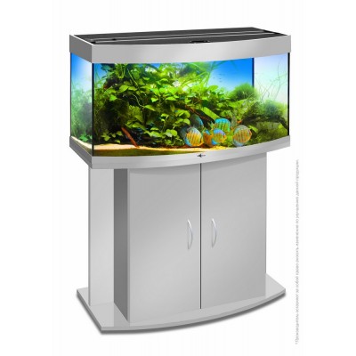 Растение "Эхинодорус американский" 5*15 см Растение "Эхинодорус американский" 5*15 см