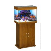 Биодизайн "Риф 60" Золотой Дуб, 60л, 56*32*44 см, с освещением LED Sun Light