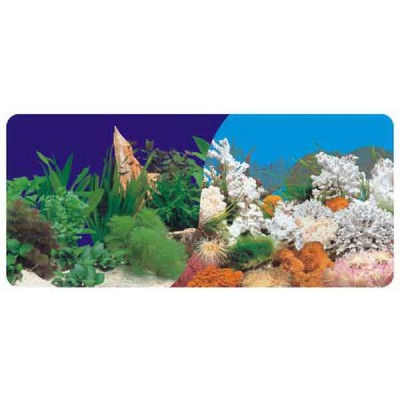 Фон двухсторонний 80 см. Растительный пресн/Белые кораллы морской Фон двухсторонний 80 см. Растительный пресн/Белые кораллы морской