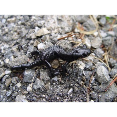 Лагуна "Грунт бело-розовый" 6-8 мм, 2 кг Лагуна "Грунт бело-розовый" 6-8 мм, 2 кг