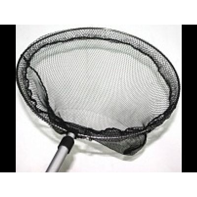 Лагуна "Колоннада" Лагуна "Колоннада"