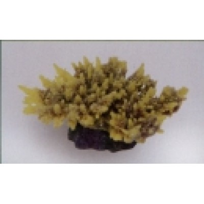 Коралл пластиковый жёлто-фиолетовый, 14*11.5*6.5 см (MA116PUY) Коралл пластиковый жёлто-фиолетовый, 14*11.5*6.5 см (MA116PUY)