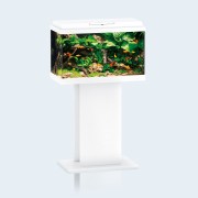 Juwel "Primo 70" Белый, 67 л, 61*31*37 см (аквариумный комплект)