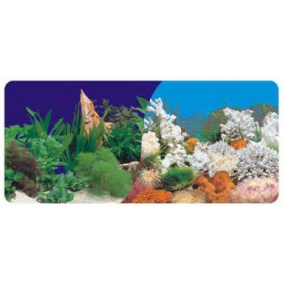 Фон двухсторонний 40 см. Кораллы (синий)/Растительный с белым камнем (синий) Фон двухсторонний 40 см. Кораллы (синий)/Растительный с белым камнем (синий)