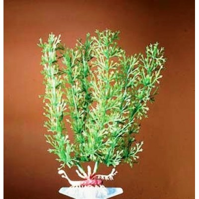 Сачок для креветок (ручка 25см) (A180003) Сачок для креветок (ручка 25см) (A180003)