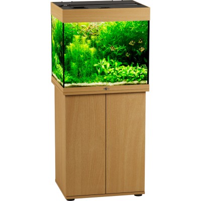 Биодизайн "Риф 100" Бук, 100 л, 56*44*52 см (аквариум) Биодизайн "Риф 100" Бук, 100 л, 56*44*52 см (аквариум)