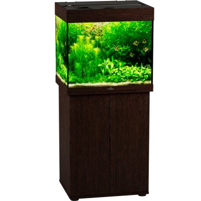 Биодизайн "Риф 100" Венге, 100 л, 56*44*52 см (аквариум) Биодизайн "Риф 100" Венге, 100 л, 56*44*52 см (аквариум)