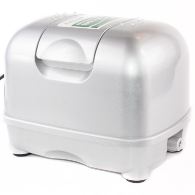 Череп мелкой зверюги Череп мелкой зверюги