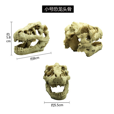 Череп мелкой зверюги Череп мелкой зверюги