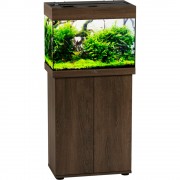 Биодизайн "Риф 60" Золотой Орех, 60 л, 56*32*44 см (аквариум)