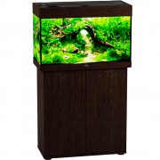 Биодизайн "Риф 80" Венге, 82 л, 71*33*46 см (аквариум)