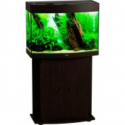 Биодизайн "Панорама 100" Венге, 98л, 71*36*52 см (аквариум)