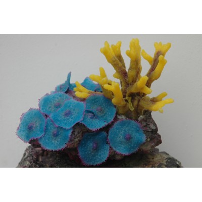 Композиция из искуственных кораллов,15*12.5*12.5 см (SH9609A) Композиция из искуственных кораллов,15*12.5*12.5 см (SH9609A)