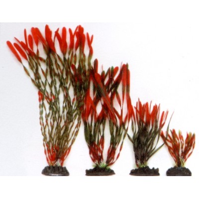 Растение пластиковое Валлиснерия спиральная, 40см, красно-зеленое Растение пластиковое Валлиснерия спиральная, 40см, красно-зеленое