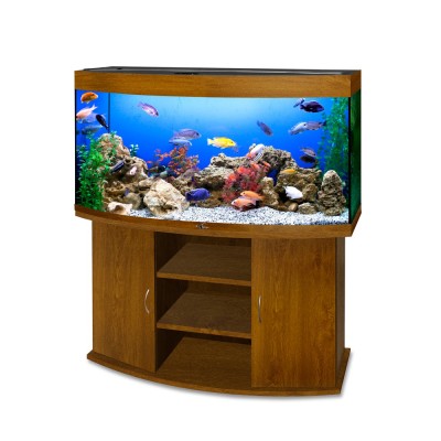 Prodibio "Bioptim Fresh&Salt" 1 ампула на 200л(стимулятор для бактерий) Prodibio "Bioptim Fresh&Salt" 1 ампула на 200л(стимулятор для бактерий)