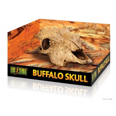 Exo Terra "Buffalo Skull" (череп бизона пластиковый) Exo Terra "Buffalo Skull" (череп бизона пластиковый)