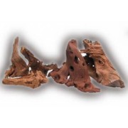 Коряга мангровая малая