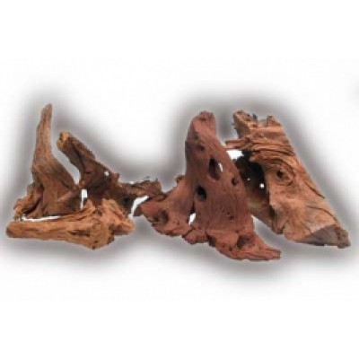 Коряга мангровая малая Коряга мангровая малая