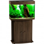 Биодизайн "Панорама 100" Золотой Орех, 98л, 71*36*52 см (аквариум)